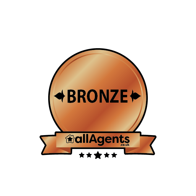 Bronze Award