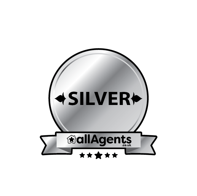 Silver Award